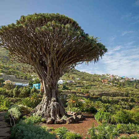 Апартаменты Precioso Apto Caleta Interian By Paramount Holidays