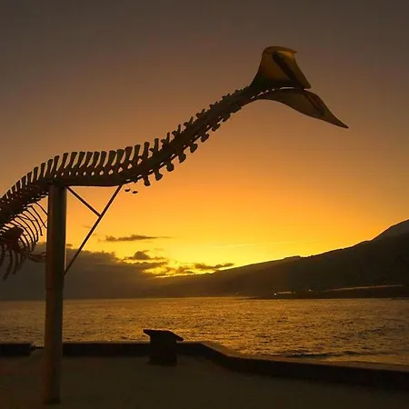 アパート Interian - Literalmente Frente Al Oceano Caleta de Interián