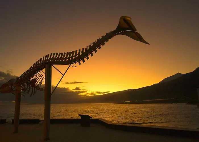 アパート Interian - Literalmente Frente Al Oceano Caleta de Interián