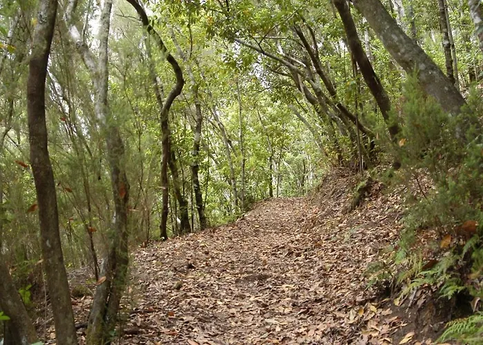 アパート Interian - Literalmente Frente Al Oceano *