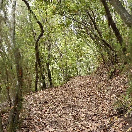 Lägenhet Precioso Apto Caleta Interian By Paramount Holidays *