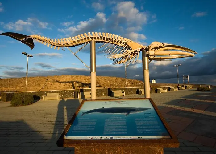 Interian - Literalmente Frente Al Oceano *